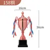 Personalización Creativa de Trofeos Metálicos para Estudiantes, Niños, Jardín de Infancia, Baloncesto, Fútbol, Oro, Plata, Bronce, Sensación de Alta Gama, Venta al por Mayor con Impresión