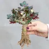 Rosa Abundante Chapéu Vermelho Rosa Trepadeira Rosa Velho Tronco Mudas Multi-Especificação Engenharia Base de Plantas para Paisagismo Fornecimento Direto