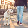 Cuerda Táctica para Perro Transfronteriza K9 Correa para Mascotas de Exterior Perro Grande Retráctil Anti-impacto Explosión Correa para Perro Cuerda Elástica
