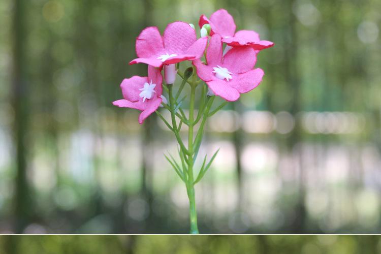 125-花草_04.jpg