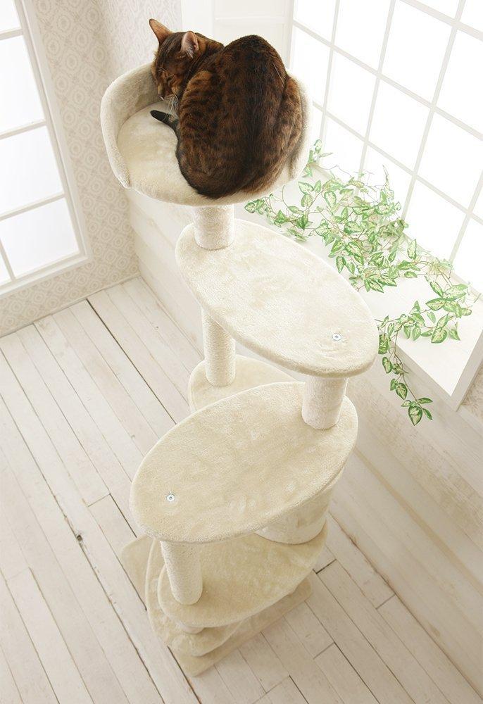 617MDeHpIyL._SL1000_