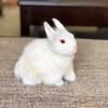 Modelo de conejo de simulación conejo querido conejo animal de simulación regalos para niños manualidades juguetes de peluche adornos de conejo