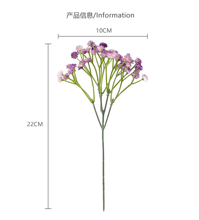 迷你小单枝奥斯丁满天星-黄底_06.jpg