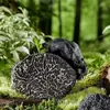 Salsa para fideos de aceite de cebolleta y trufa negra, salsa para fideos de aceite de cebolleta, salsa para arroz frito de trufa negra con aceite de cebolleta, salsa para arroz, salsa para fideos