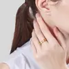 Nuevo Anillo de Flor de Iris Floral Dorado Iridiscente Inspirado en Palacios Chinos, Anillo de Banda Cepillada con Hojas de Ginkgo Incrustadas de Diamantes de Lujo Ligero para Mujer