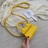 Bolso de Comercio Exterior para Mujer Primavera/Verano 2024 Nuevo Diseño de Nicho Bandolera Mini Bolso Pequeño Mostrar Mini Bolso de Mano