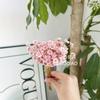 Brasil pequena estrela flor atacado natural air-dried mini Daisy ins estilo buquê de flores secas frescas para casa roupas macias