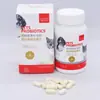 Cálcio de Leite Ryan Gill Vitaminas B Elementos Traço Quelados Condroitina Universal para Cães e Gatos Animais de Estimação