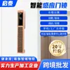 Fechadura Magnética Inteligente para Cartão de Hotel, Fechadura de Cartão para Apartamento de Hotel, Fechadura de Porta Totalmente Automática para Aluguel de Quarto de Hóspedes, Fechadura de Cartão Ic de Luxo Acessível