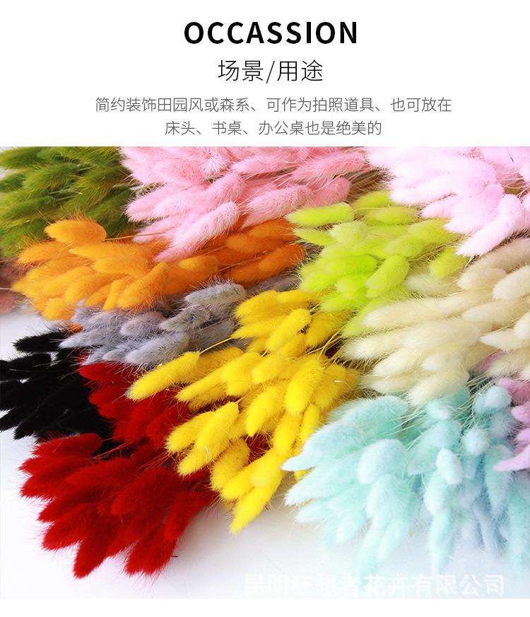 中文1688_09