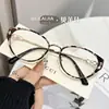 Gafas de Sol con Montura de Mariposa para Mujer, Diseño Retro que Realza la Blancura, Bloqueo de Luz Azul, Accesorios de Moda Transfronterizos, Otoño e Invierno, Vintage
