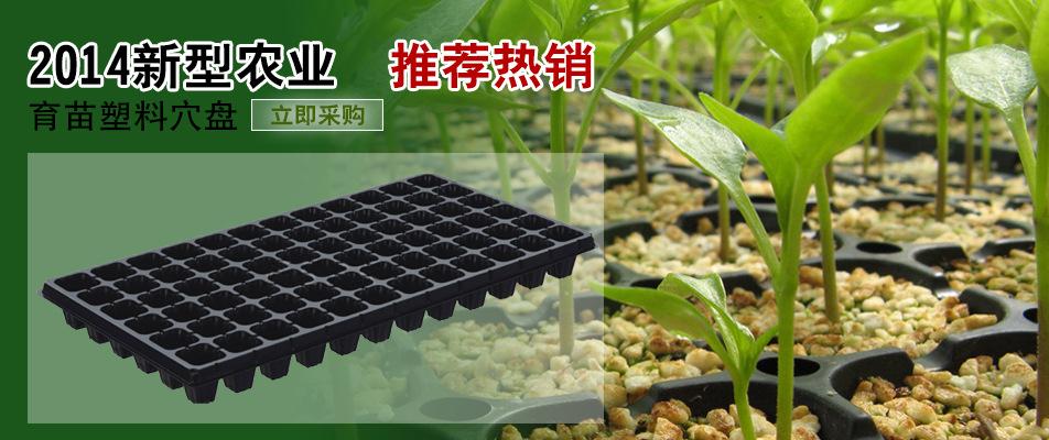 育苗盘