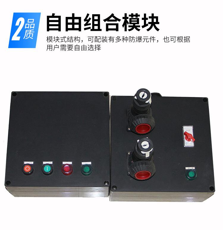 BXK8050防爆防腐控制箱_07