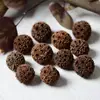 Materiais de Flores Secas Galhos Bolotas Pinhas Algodão Vagens de Lótus Jardim de Infância Artesanato Velas Aromáticas Fatias Decoração Adereços para Fotos
