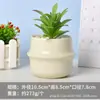 Vaso de Flores Cerâmico para Suculentas Moderno Estilo Ins Minimalista Nórdico, Simples para Interior Criativo Redondo Doméstico para Plantas Verdes Vaso de Flores de Luxo