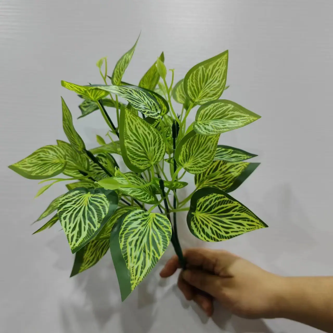 花鸡心.jpg
