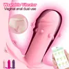 Sexo Transfronterizo en el Cuerpo, Control Remoto para Uso al Aire Libre, Rebote de Vibración Fuerte, Juguete para el Orgasmo Femenino, Juguete Sexual para Adultos