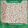 Brotos de bambu de primavera descascados e congelados em cubos, brotos de bambu de inverno congelados, tiras de bambu Meng Zongzhu, ingredientes cortados, enchimento, matérias-primas, fábrica, atacado