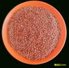 Natural Black Red Rainforest Areia Primary Stream Areia Crystal Areia Gold Areia Rocha vulcânica Granular Fish Tank Paisagem Base Areia