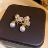 Agulha de prata Dongdaemun Zircon Flower Tassel Brincos Anel Frio Ear Light Luxo High-end Brincos Atacado Mulheres