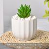 Vaso de Flor de Cerâmica Criativo Simples Branco Vaso de Porcelana Branca de Dehua Vaso Mini para Suculenta Orquídea Phalaenopsis Pequeno Vaso Decorativo