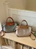 Bolso pequeño de alta gama transfronterizo para mujer, estilo verano 2026, moderno y sencillo, bolso tipo empanada de nicho, bolso versátil para hombro y cruzado