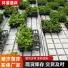 Painel de maré para mudas de estufa Cama de mudas Estufa Rack de plantio por maré para mudas de vegetais Cama de mudas com irrigação por maré inferior