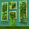 Planta Suculenta Artificial Pendurada na Parede Plantas Verdes de Parede Porta-Retrato Decoração de Parede Fundo com Flores Parede Restaurante Fabricante Madeira Branco
