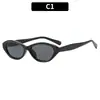 Moda Europea y Americana Nuevas Gafas de Sol Irregulares Ojo de Gato Sensación de Alta Gama Protección UV Gafas de Sol con Personalidad Tendencia para Mujer