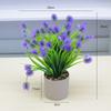 Simulación Planta Verde Planta en Maceta Decoración del Hogar Maceta de Cemento Decoración de Sala de Estar Traje de Flor Artificial Flor de Simulación Decoración de Bonsái de Escritorio