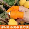 Cuchillo para pulgar, Cortauñas de hierro, Recolección de verduras, Recolección de pimientos, Recolección de fresas, Pelado de frijoles, Clasificación de verduras, Guantes agrícolas, Protectores para dedos