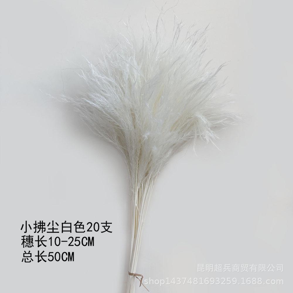 微信图片_20240318174732.jpg
