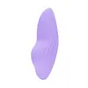 Juguetes populares para mujeres, incluyendo una gama completa de vibradores, productos de placer femenino y juguetes sexuales para adultos