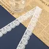 Ribete de Encaje de un Solo Lado, Ribete de Encaje Elástico, Accesorios de Ribete de Encaje para Textiles del Hogar y Ropa, Stock Listo de Fábrica