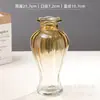 Vaso de Vidro Sódio-Cálcio Personalizado Transfronteiriço, Pote de Vidro para Armazenamento, Estilo Floral Gradiente Transparente de Luxo Leve, Ornamento de Flores para Sala de Estar