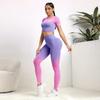 Conjunto de Yoga sem Costura para Mulheres, Unindo Fronteiras Europeias e Americanas: Calças de Manga Curta, Calças de Yoga para o Quadril e Roupas Fitness.
