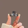 Presilha de Garra Mini Brilhante com Garra de Diamante Estilo Coreano, Piranha Pequena Delicada com Strass para Mechas, Presilha Lateral de Princesa para Mulheres com Pérolas