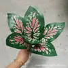 Pequeñas plantas verdes estilo bosque con 7 ramas, láminas de plástico impresas en 3D, hojas simuladas, fabricante mayorista para proyectos de embellecimiento de paredes vegetales