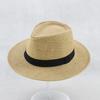 Sombrero de Sol de Ala Grande para Hombre, Sombrero de Sol para Exteriores, Sombrero de Sol, Sombrero de Playa, Sombrero Fresco, Sombrero de Paja Encriptado, Protector Solar, Agricultores