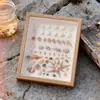 Moldura de Foto DIY Feita à Mão Moldura Estéreo Oca para Espécimes Coleção de Conchas Pedras Flores Secas Moldura de Foto para Exibição de Conservação