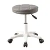 Taburete bajo con polea, altura ajustable, rueda giratoria, asiento redondo, adecuado para salones de belleza, uso doméstico, salones de uñas y aplicaciones giratorias; nuevo modelo