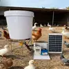 Temporizador de Comedero Solar Alimentador Automático Pollo Pato Ganso Paloma Aves de Corral Máquina de Alimentación Totalmente Automática Alimentar Pollo
