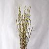 Ventas Directas de Fábrica de Plantas Verdes, Flores Artificiales de Sauce Plateado de Alta Gama, Ramas de Flores Artificiales, Brotes de Flor de Ciruelo de Invierno, Decoración Moderna para el Hogar