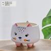 Maceta de cemento pintada a mano para suculentas, maceta de burbujas con esmalte de flujo, animal de dibujos animados
