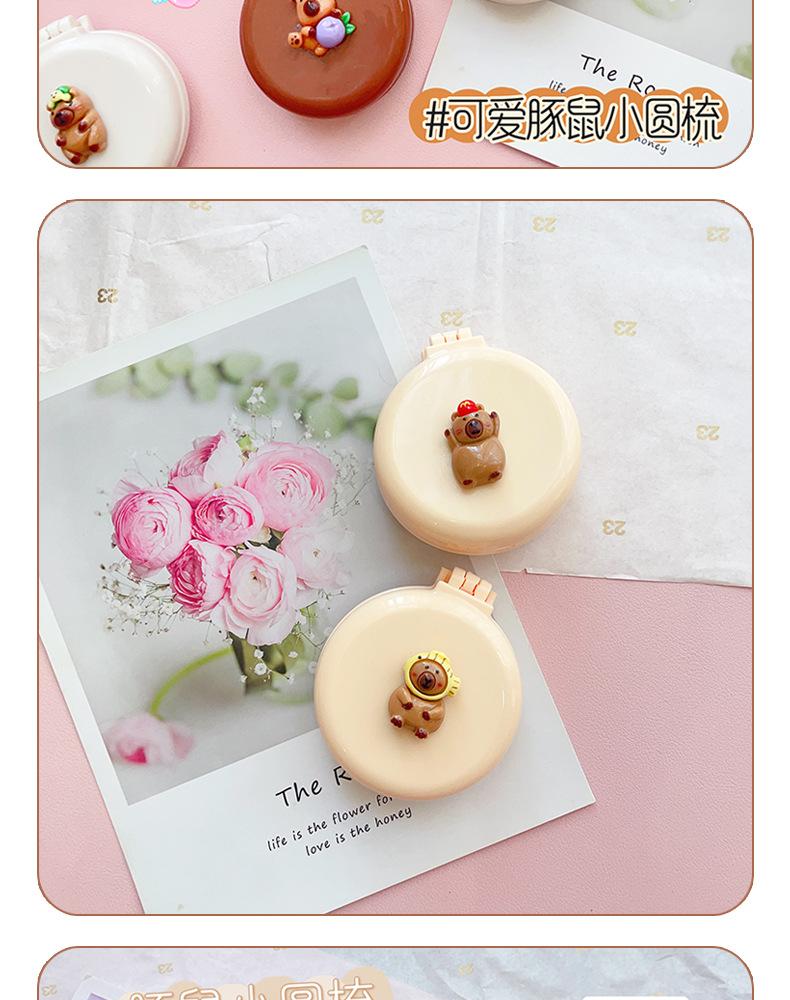 AS-豚鼠小圆梳_07.jpg