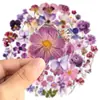 50 Folhas Adesivos Florais Graffiti Retrô Espécimes de Plantas Flores Secas Realistas PET Transparente à Prova d'Água Adesivos de Flores para Diário
