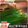 Hojas de Zongzi Cang Yi Da Fa Frescas Tamaño Grande Hojas Nuevas Hojas Especiales para Envolver Zongzi Festival del Bote del Dragón Bolsas al por Mayor Zongzi Secos
