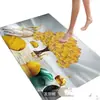 Felpudo para Entrada de Casa, Felpudo Antideslizante Absorbente de Agua de Tierra de Diatomeas, Felpudo para Puerta de Baño, Resistente a la Suciedad y Fácil de Limpiar