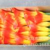 Ramo alto Calla simulação flor PU material borracha macia único ramo sentir simulação flor Alocarum arranjo de flores de casamento comércio exterior transfronteiriço