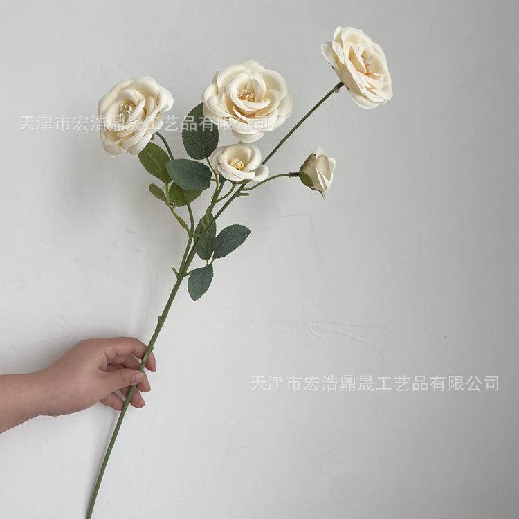 微信图片_202204111604492_副本